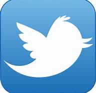 twitter icon link